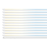 4FT T8 LED Tube Light, Type A+B, 12W/15W/18W/22W, 3000K |3500K|4000K | 5000K | 6500K, Single and Double End Powered, Plug and Play or Ballast Bypass, 2860 Lumens, G13 100-277V, Frosted Cover